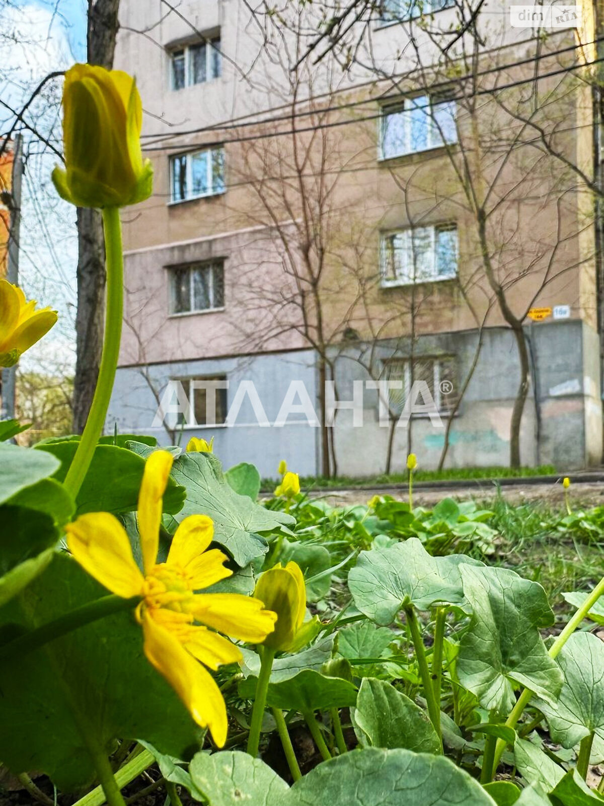 Продажа двухкомнатной квартиры в Одессе, на ул. Академическая, район Приморский фото 1 Продажа двухкомнатной квартиры в Одессе, на ул. Академическая, район Приморский фото 1