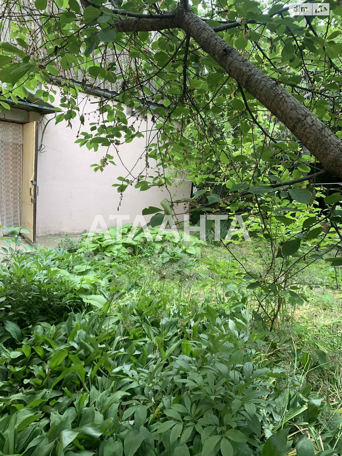 Продаж двокімнатної квартири в Одесі, на вул. Чернишевського, район Приморський фото 1 Продаж двокімнатної квартири в Одесі, на вул. Чернишевського, район Приморський фото 1