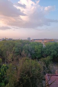 Продажа однокомнатной квартиры в Одессе, на 2-й пер. Куликовский, район Центр фото 2