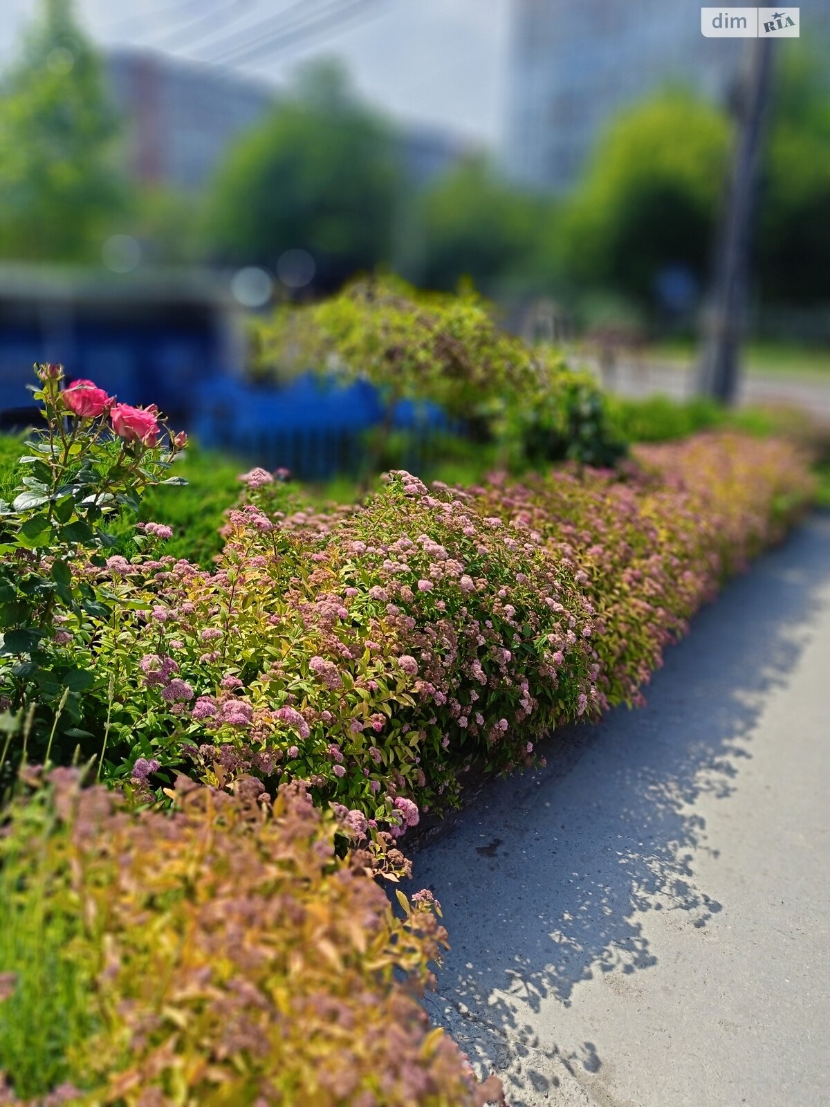 Продажа однокомнатной квартиры в Одессе, на ул. Владислава Бувалкина, район Пересыпский фото 1 Продажа однокомнатной квартиры в Одессе, на ул. Владислава Бувалкина, район Пересыпский фото 1
