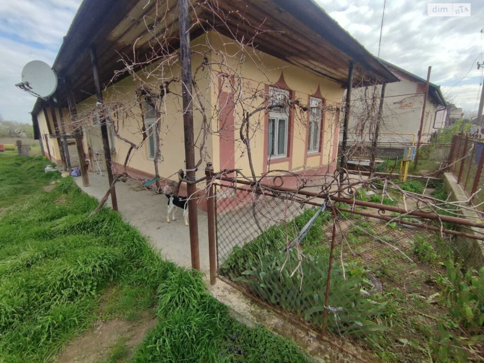 Продажа однокомнатной квартиры в Палади-Комаровцы, на Центральна 5, фото 1