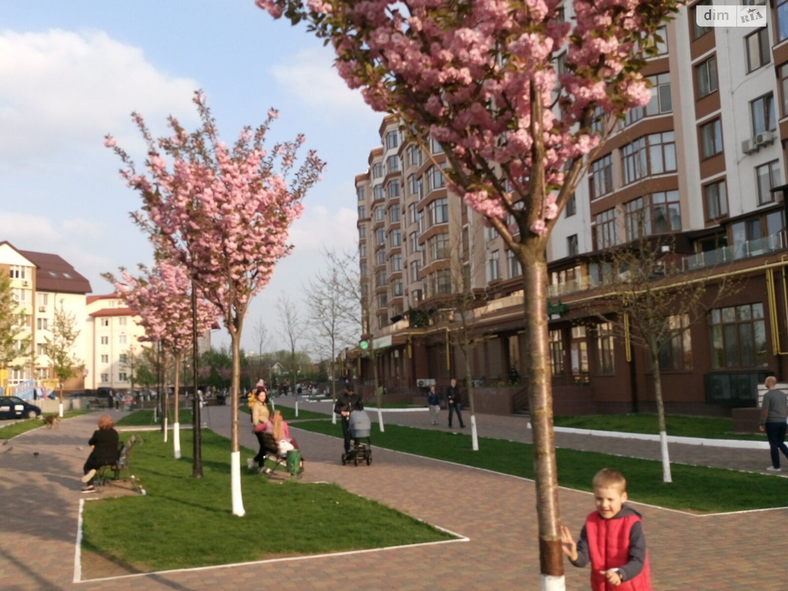 Продаж однокімнатної квартири в Петропавлівській Борщагівці, на вул. Волинська 3, фото 1 Продаж однокімнатної квартири в Петропавлівській Борщагівці, на вул. Волинська 3, фото 1