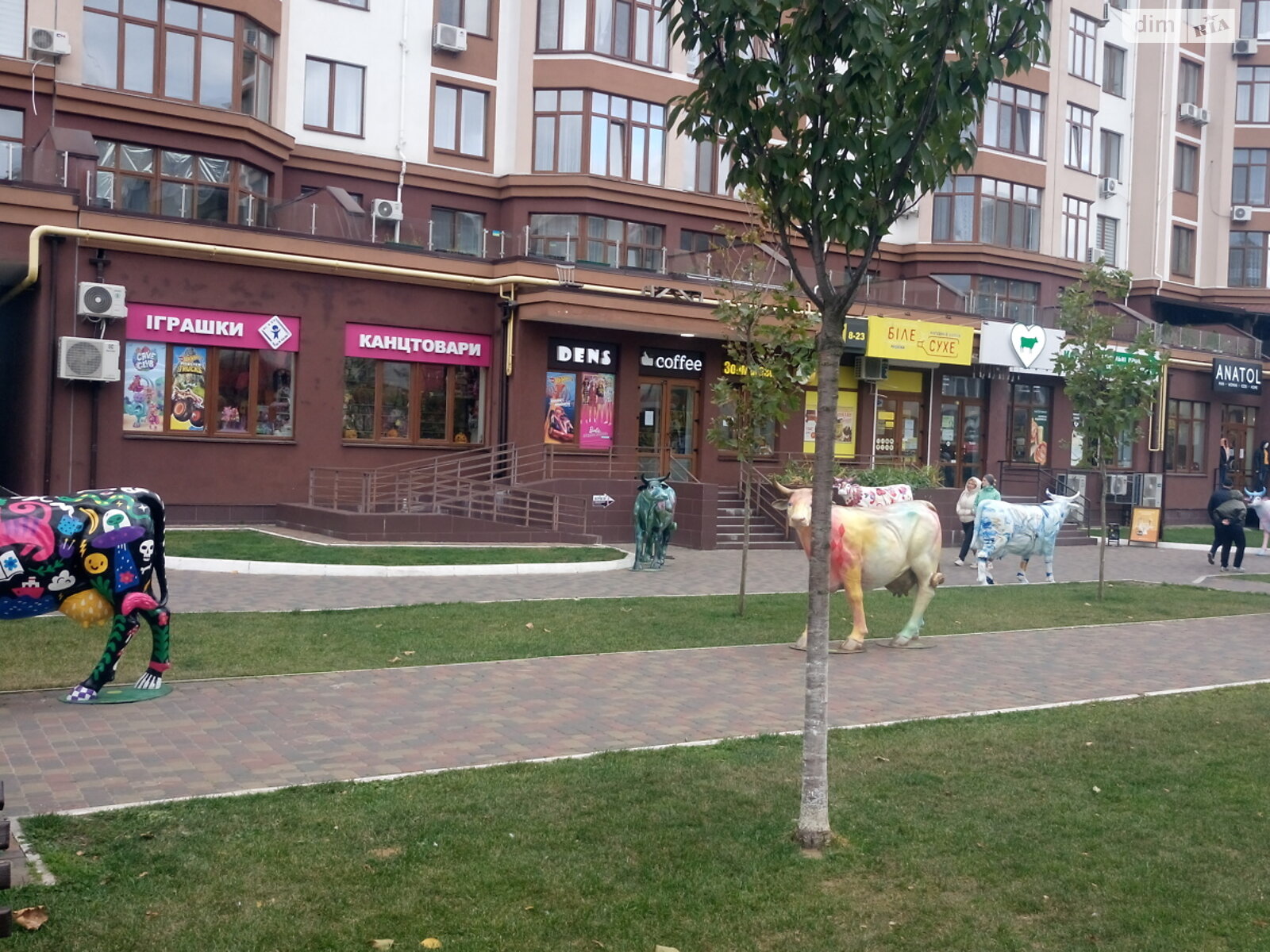Продаж однокімнатної квартири в Петропавлівській Борщагівці, на вул. Волинська 3, фото 1 Продаж однокімнатної квартири в Петропавлівській Борщагівці, на вул. Волинська 3, фото 1