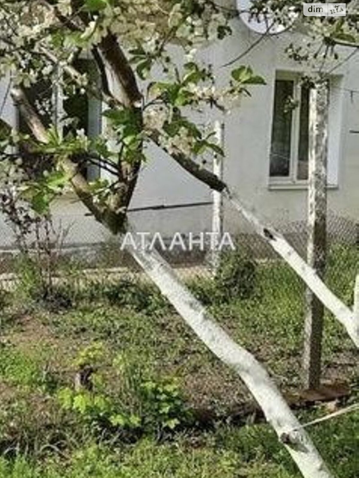 Продажа двухкомнатной квартиры в Петровке, на Центральная, фото 1