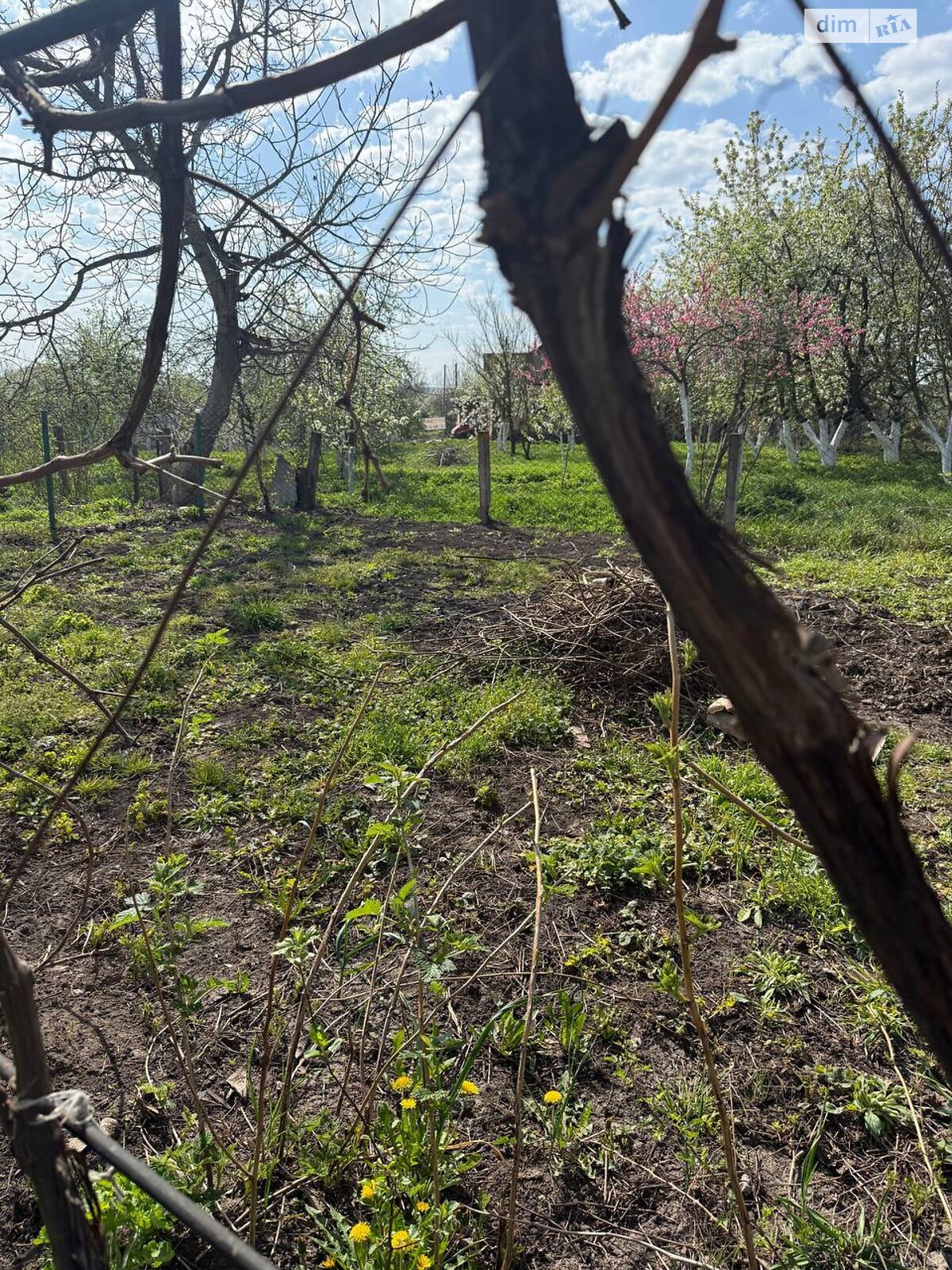 Продаж чотирикімнатної квартири в Пирогівцях, на вул. М. Штена 16, фото 1 Продаж чотирикімнатної квартири в Пирогівцях, на вул. М. Штена 16, фото 1