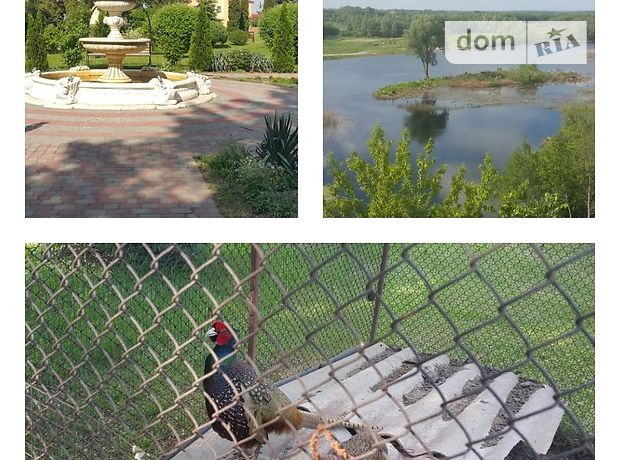 Продажа квартиры, 1 ком., Полтавская, Пирятин, c. Великая Круча Продажа квартиры, 1 ком., Полтавская, Пирятин, c. Великая Круча