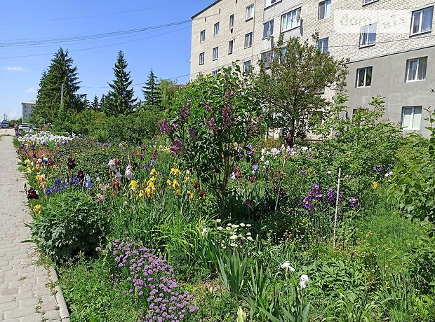 Продаж трикімнатної квартири в Підволочиську, на зелена, район Підволочиськ фото 1 Продаж трикімнатної квартири в Підволочиську, на зелена, район Підволочиськ фото 1
