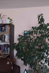 Продаж двокімнатної квартири в Полтаві, на вул. Залізна, фото 2
