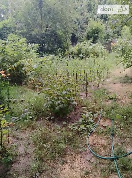 Продажа четырехкомнатной квартиры в Полтаве, на ул. Сковороды 14 район Колония фото 1 Продажа четырехкомнатной квартиры в Полтаве, на ул. Сковороды 14 район Колония фото 1