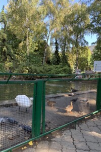 Продаж трикімнатної квартири в Полтаві, на вул. Сковороди 1А, район Центр фото 2