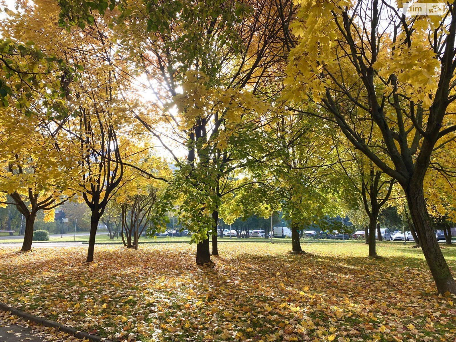 Продажа однокомнатной квартиры в Ровно, на ул. Галицкого Данилы 25, район Автовокзал фото 1 Продажа однокомнатной квартиры в Ровно, на ул. Галицкого Данилы 25, район Автовокзал фото 1