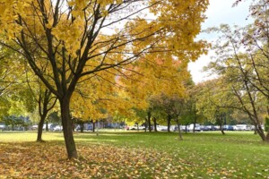 Продажа однокомнатной квартиры в Ровно, на ул. Галицкого Данилы 25, район Автовокзал фото 2