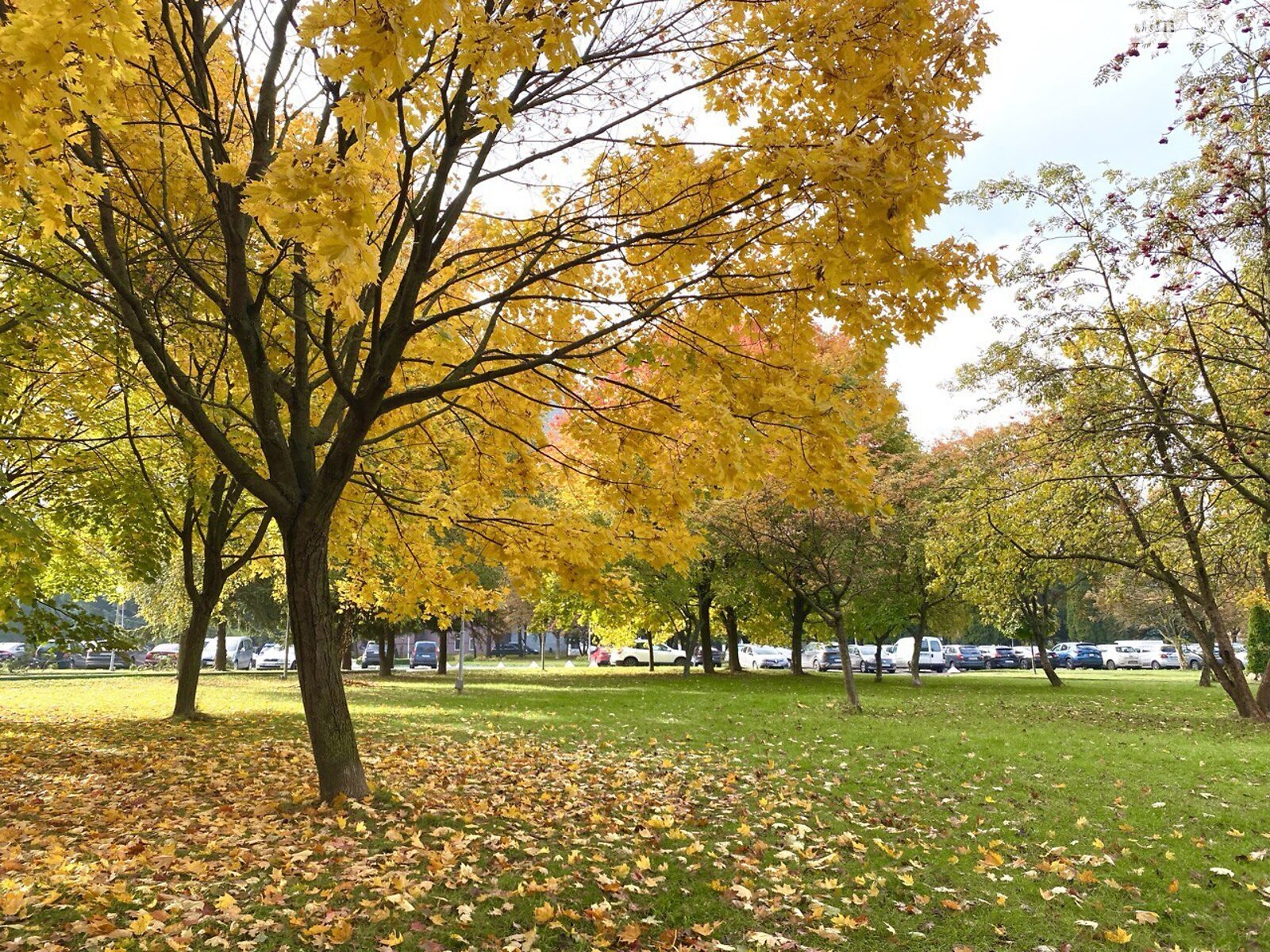 Продажа однокомнатной квартиры в Ровно, на ул. Галицкого Данилы 25, район Автовокзал фото 1 Продажа однокомнатной квартиры в Ровно, на ул. Галицкого Данилы 25, район Автовокзал фото 1