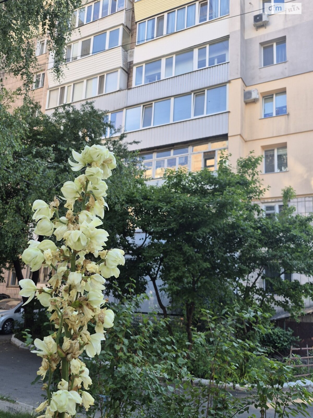 Продажа трехкомнатной квартиры в Ровно, на ул. Соборная 36, район Центр фото 1 Продажа трехкомнатной квартиры в Ровно, на ул. Соборная 36, район Центр фото 1