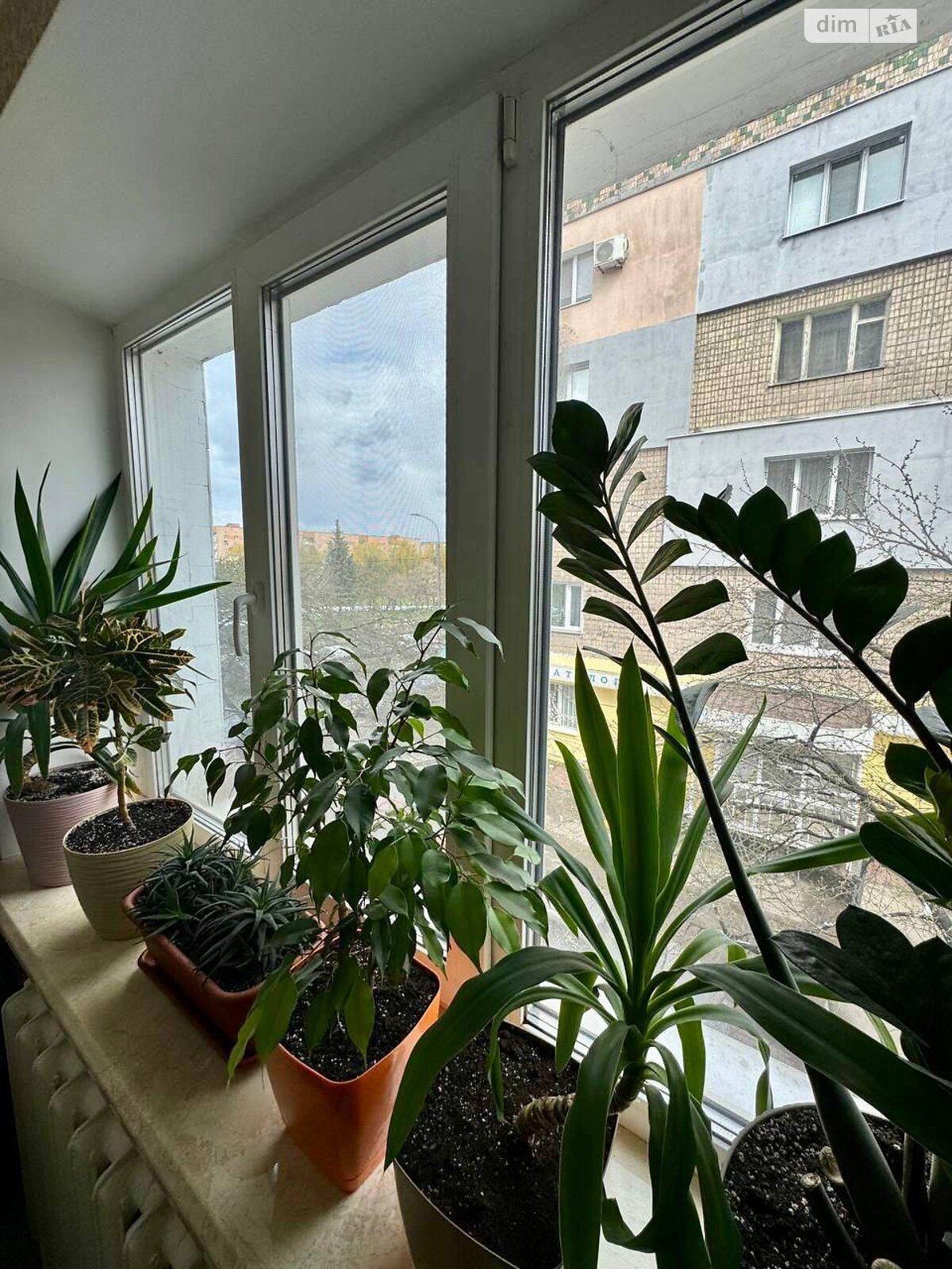 Продажа двухкомнатной квартиры в Ровно, на ул. Тараса Давидюка 8, район Центр фото 1 Продажа двухкомнатной квартиры в Ровно, на ул. Тараса Давидюка 8, район Центр фото 1