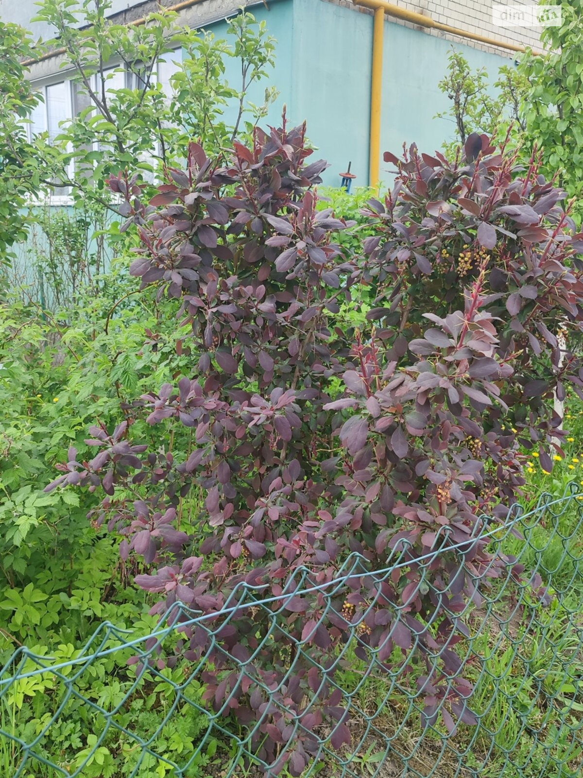 Продажа однокомнатной квартиры в Шаровечке, на ул. Мира 2/1, район Шаровечка фото 1 Продажа однокомнатной квартиры в Шаровечке, на ул. Мира 2/1, район Шаровечка фото 1