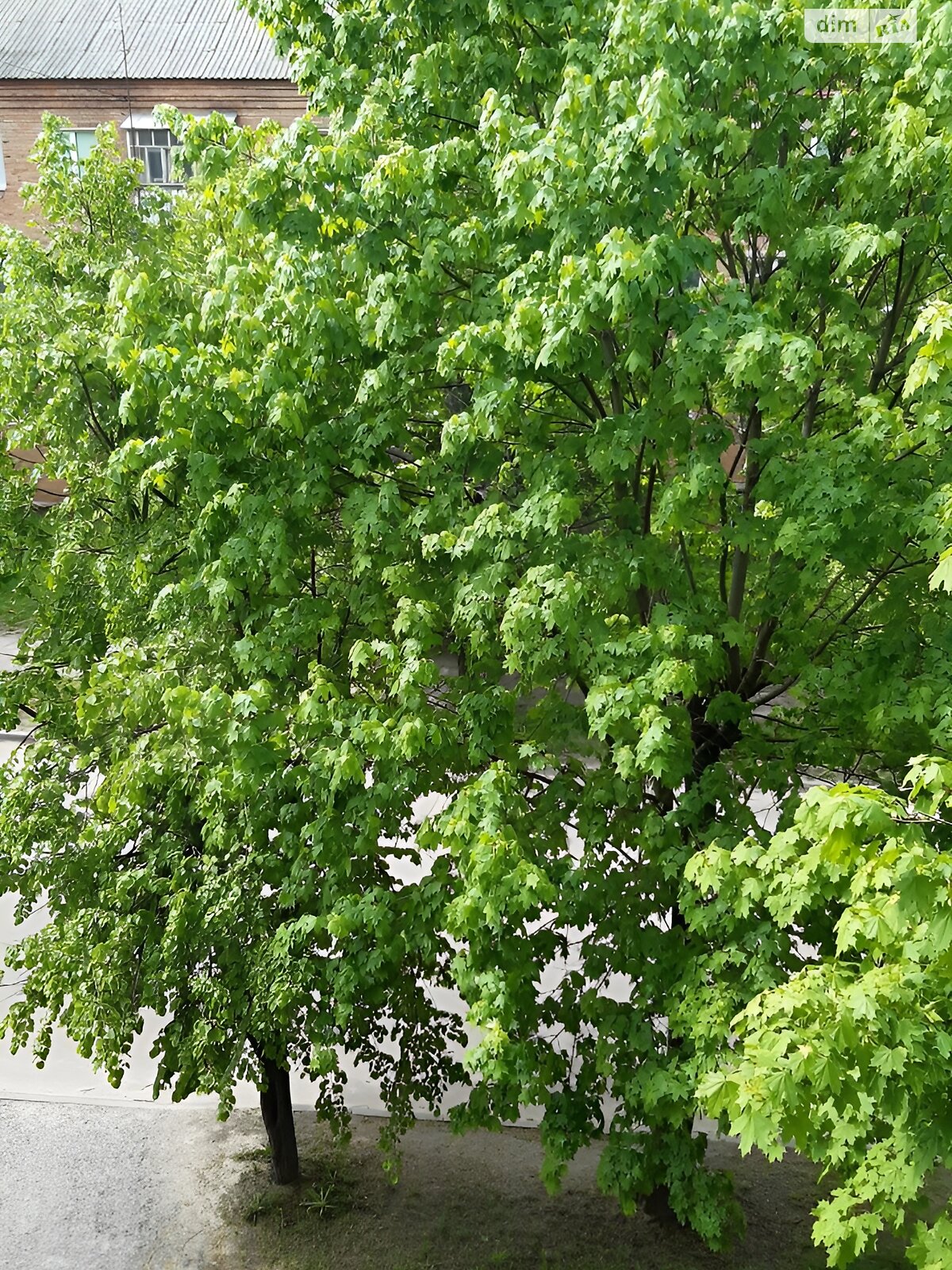 Продаж двокімнатної квартири в Шостці, на вул. Депутатська 10, кв. 54, фото 1 Продаж двокімнатної квартири в Шостці, на вул. Депутатська 10, кв. 54, фото 1