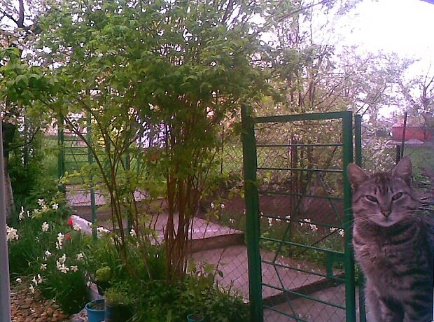 Продажа квартиры, 2 ком., Симферополь Продажа квартиры, 2 ком., Симферополь