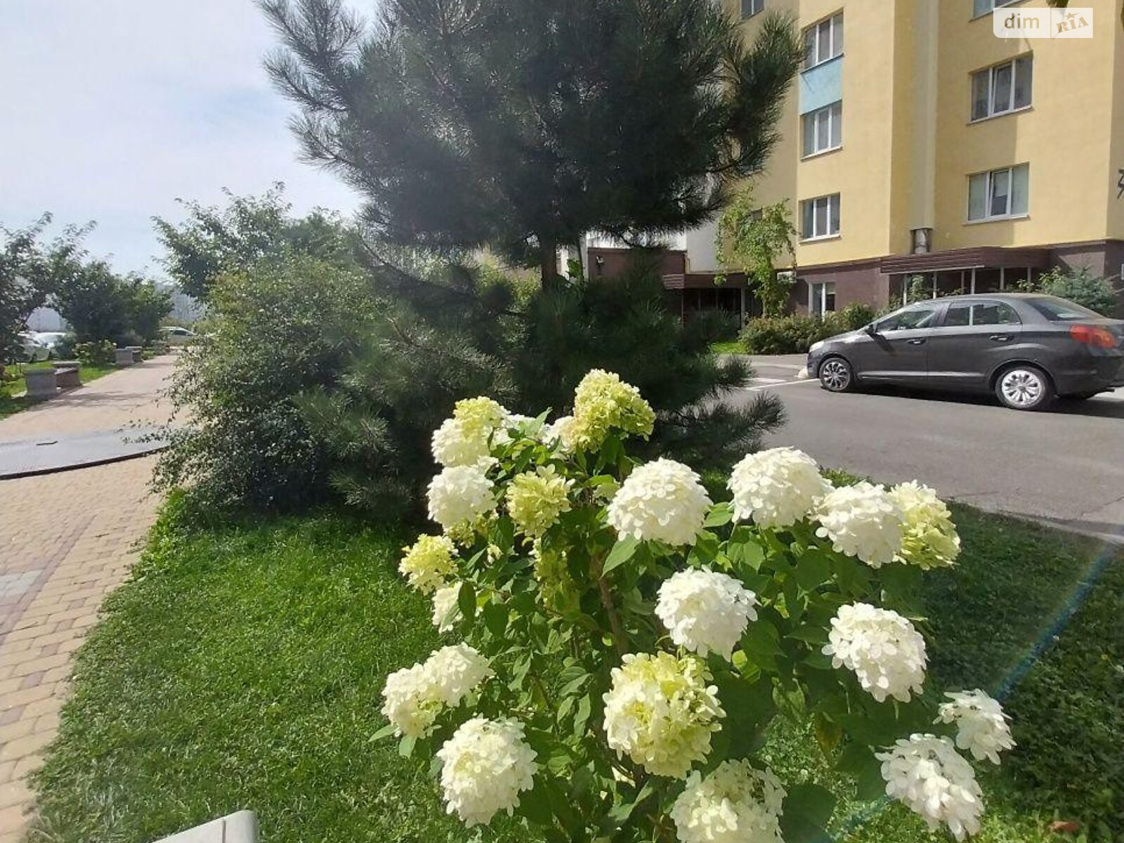 Продажа двухкомнатной квартиры в Софиевской Борщаговке, на ул. Боголюбова 37, фото 1