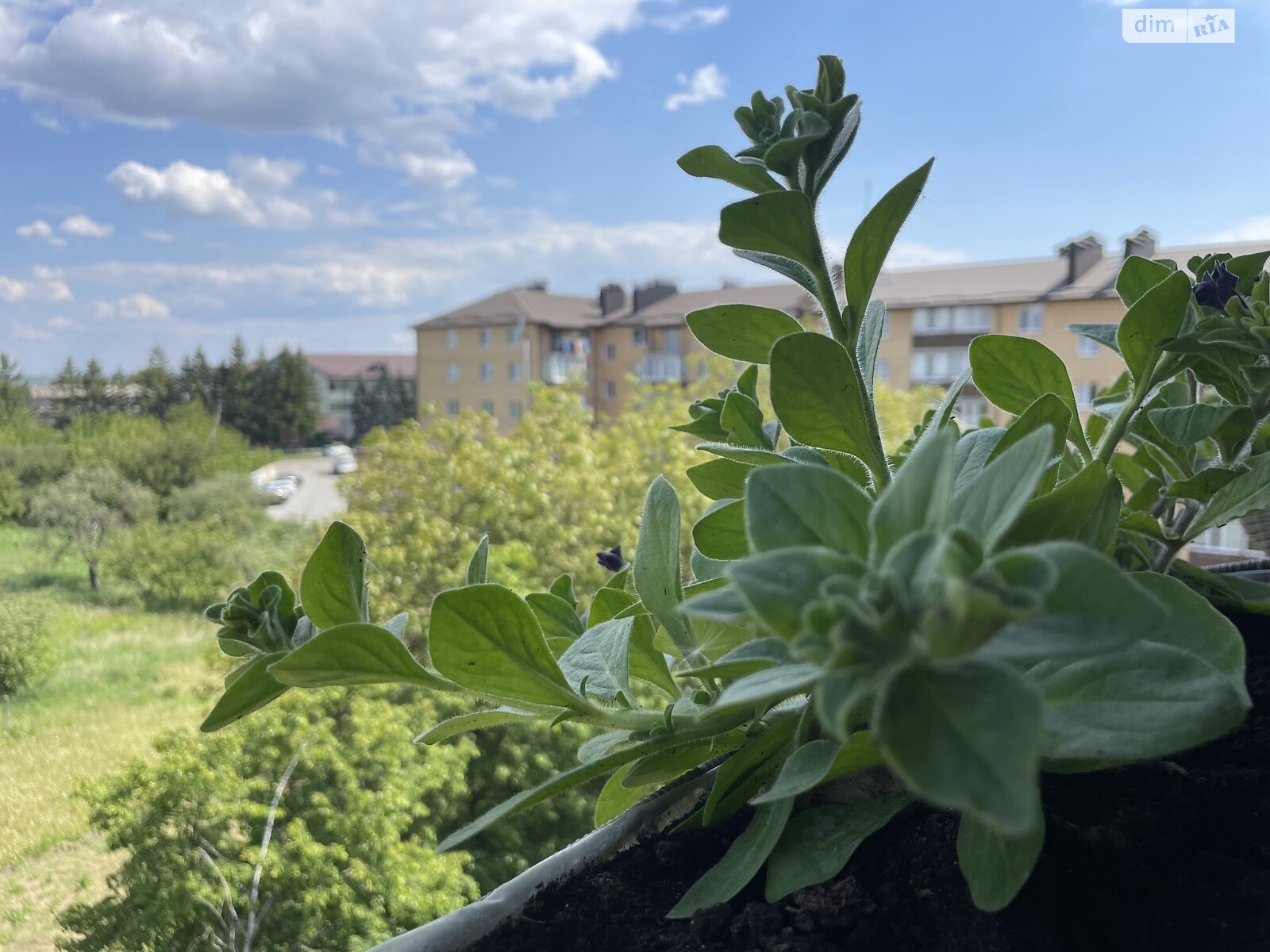 Продаж двокімнатної квартири в Стрижавці, на вул. Алеї, фото 1 Продаж двокімнатної квартири в Стрижавці, на вул. Алеї, фото 1