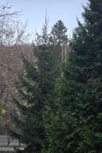 Продажа однокомнатной квартиры в Сваляве, на ул. Шевченко 12, кв. 3, район Свалява фото 2