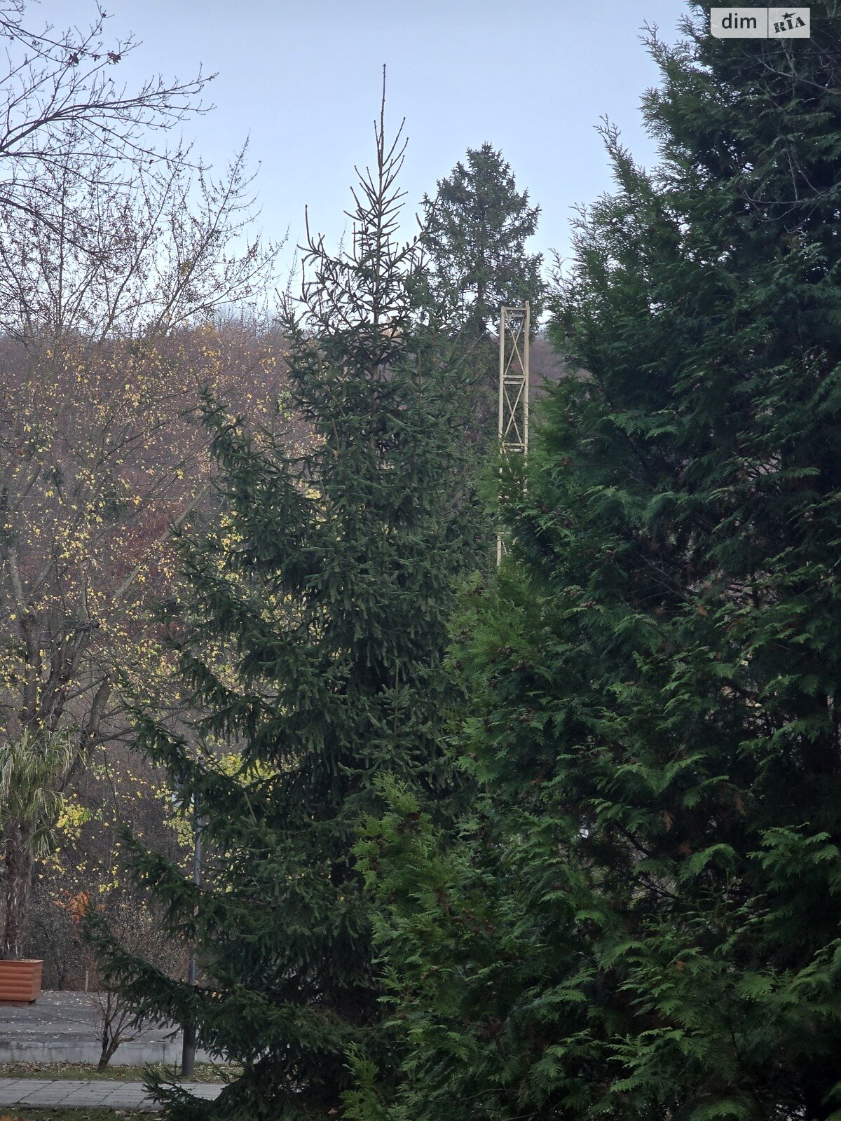 Продажа однокомнатной квартиры в Сваляве, на ул. Шевченко 12, кв. 3, район Свалява фото 1