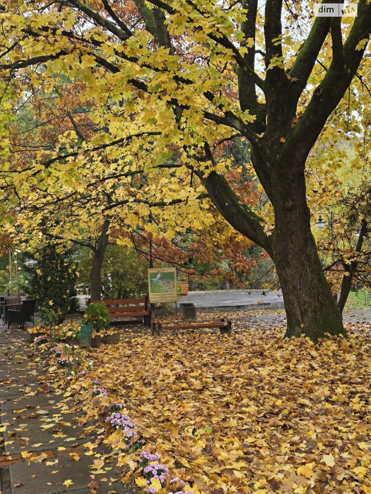 Продажа однокомнатной квартиры в Сваляве, на ул. Шевченко 12, кв. 3, район Свалява фото 1