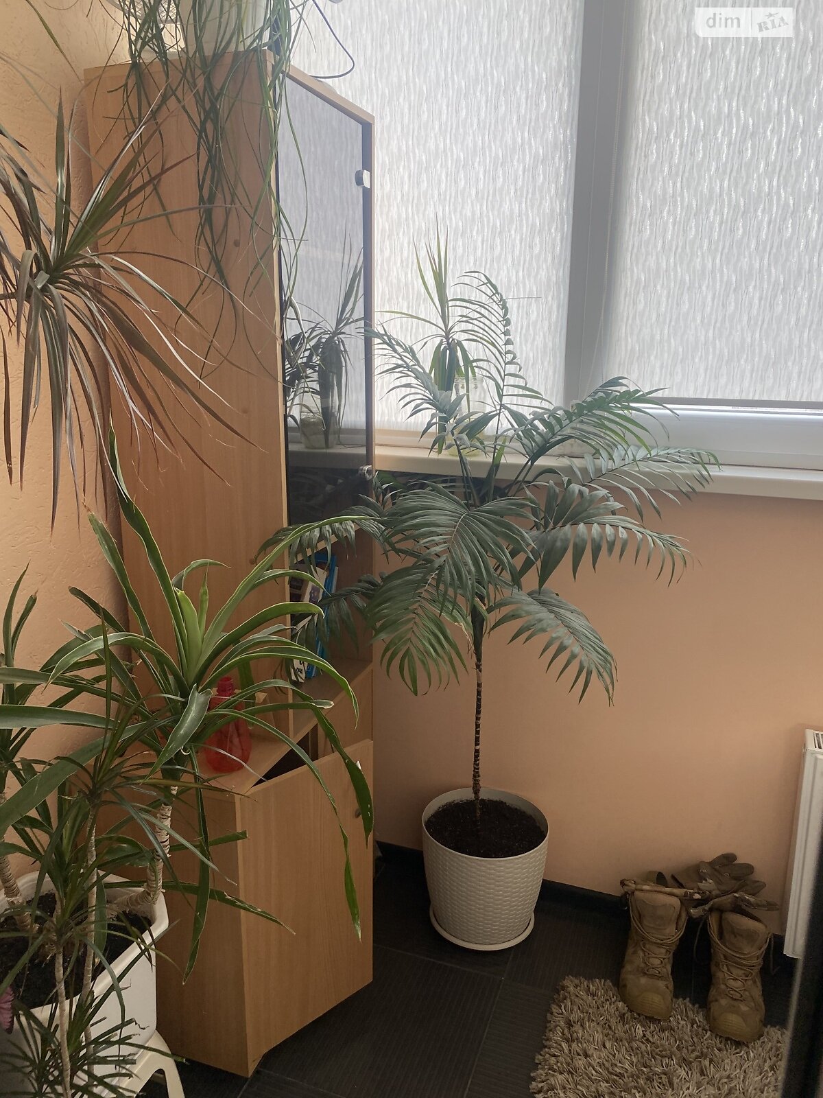 Продаж трикімнатної квартири в Тарасівці, на вул. Братів Чмилів 1Б, кв. 82, фото 1 Продаж трикімнатної квартири в Тарасівці, на вул. Братів Чмилів 1Б, кв. 82, фото 1