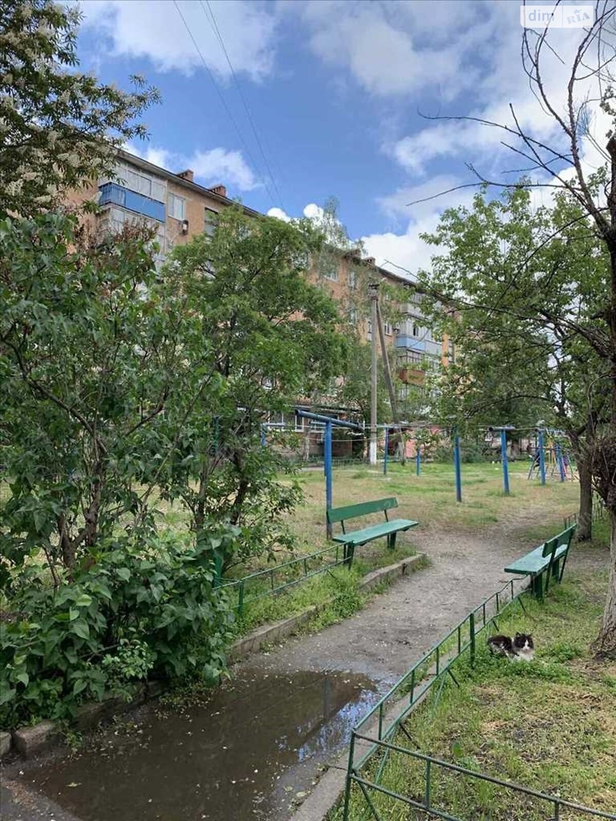 Продажа однокомнатной квартиры в Терешках, на ул. Шевченко, район Киевский фото 1 Продажа однокомнатной квартиры в Терешках, на ул. Шевченко, район Киевский фото 1