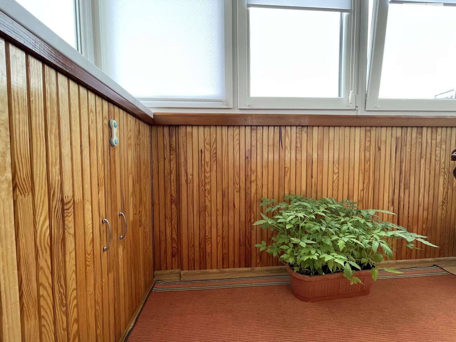 Продаж двокімнатної квартири в Тернополі, на вул. Курбаса Леся, район Аляска фото 1 Продаж двокімнатної квартири в Тернополі, на вул. Курбаса Леся, район Аляска фото 1