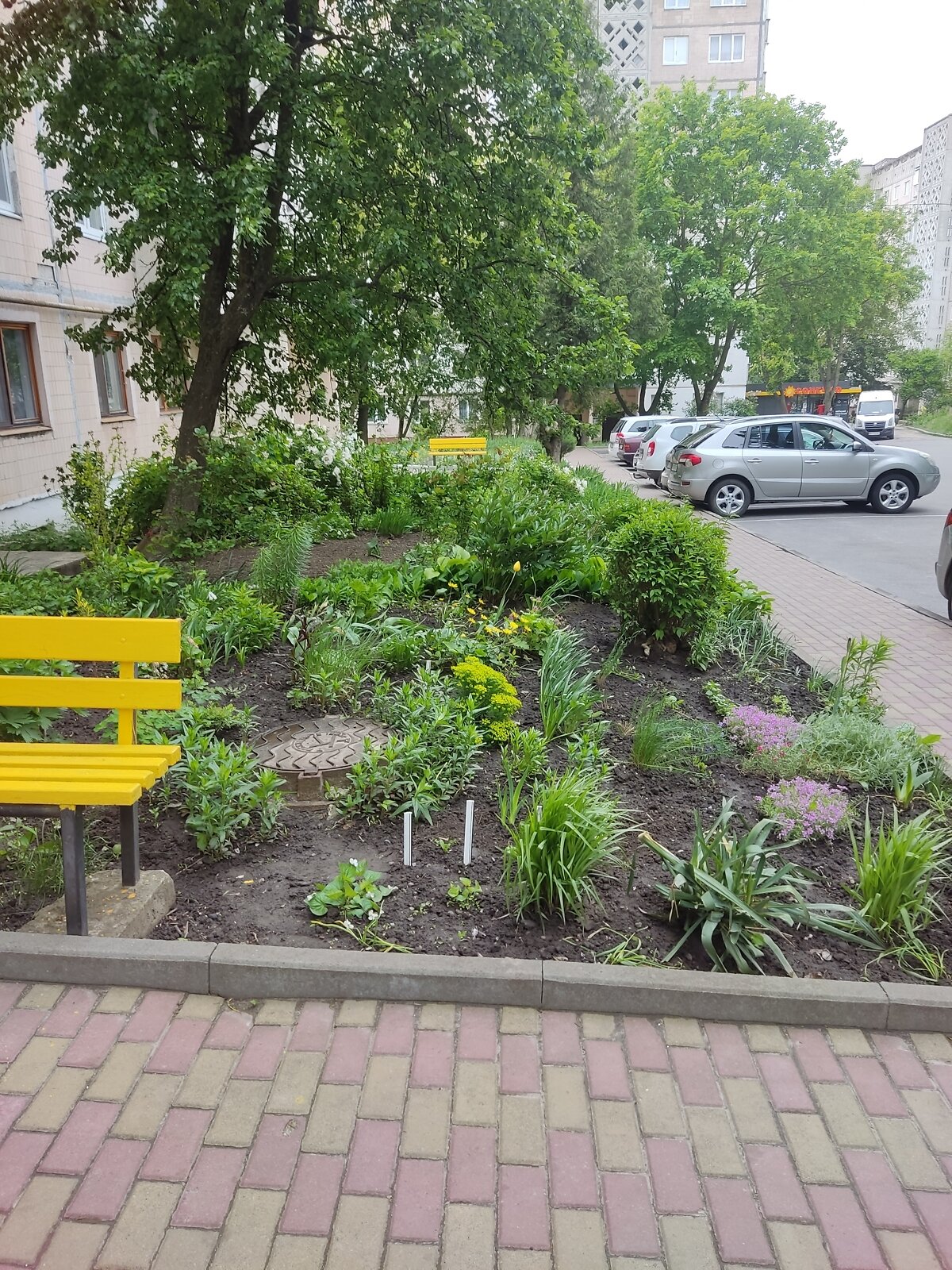 Продажа двухкомнатной квартиры в Тернополе, на ул. Академика Сергея Королева, район Бам фото 1 Продажа двухкомнатной квартиры в Тернополе, на ул. Академика Сергея Королева, район Бам фото 1