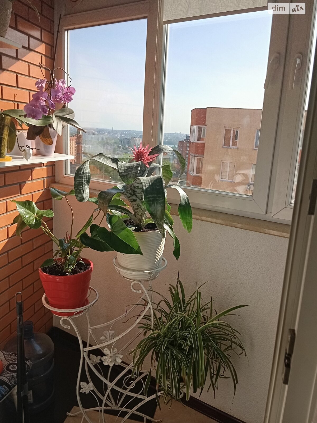 Продаж трикімнатної квартири в Тернополі, на вул. Тролейбусна, район Дружба фото 1 Продаж трикімнатної квартири в Тернополі, на вул. Тролейбусна, район Дружба фото 1