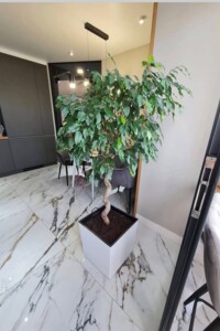 Продажа трехкомнатной квартиры в Тернополе, на ул. Сахарова Андрея Академика, район Микрорайон №6 фото 2 Продажа трехкомнатной квартиры в Тернополе, на ул. Сахарова Андрея Академика, район Микрорайон №6 фото 2