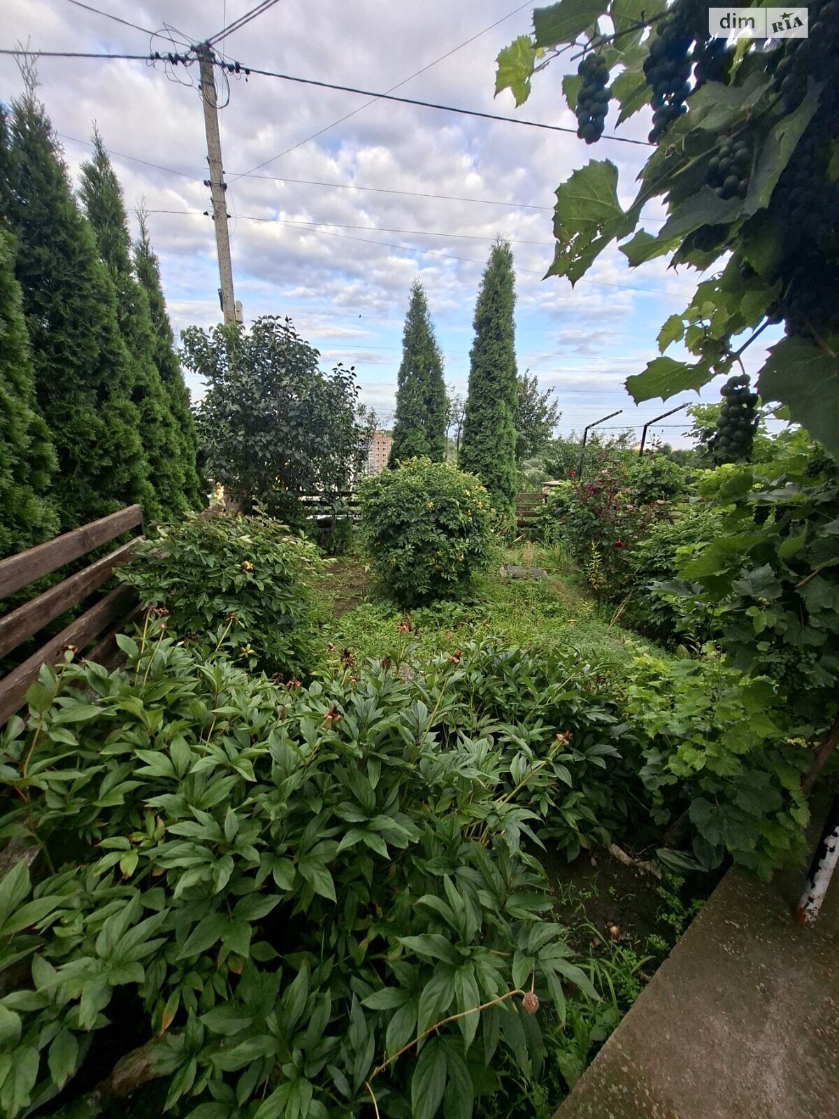 Продаж п`ятикімнатної квартири в Тернополі, на вул. Шептицького Андрія Митрополита, район Оболоня фото 1