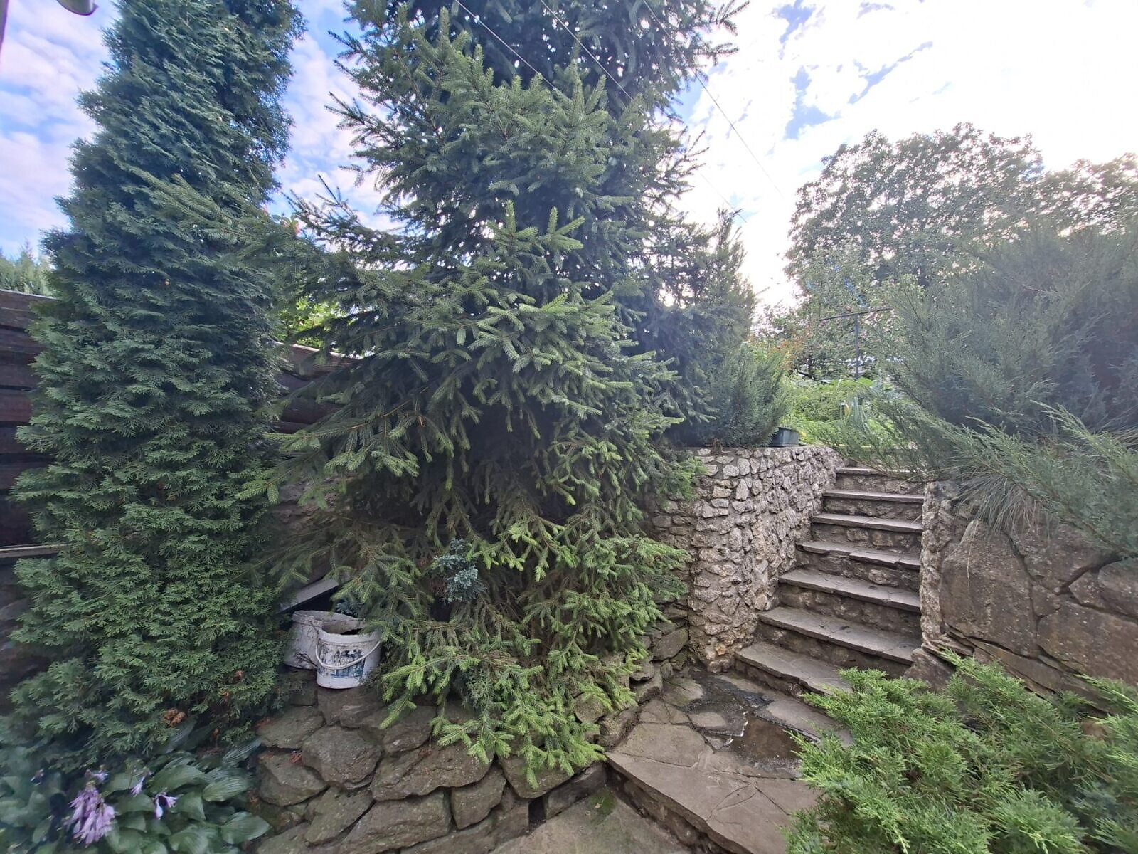 Продаж п`ятикімнатної квартири в Тернополі, на вул. Шептицького Андрія Митрополита, район Оболоня фото 1