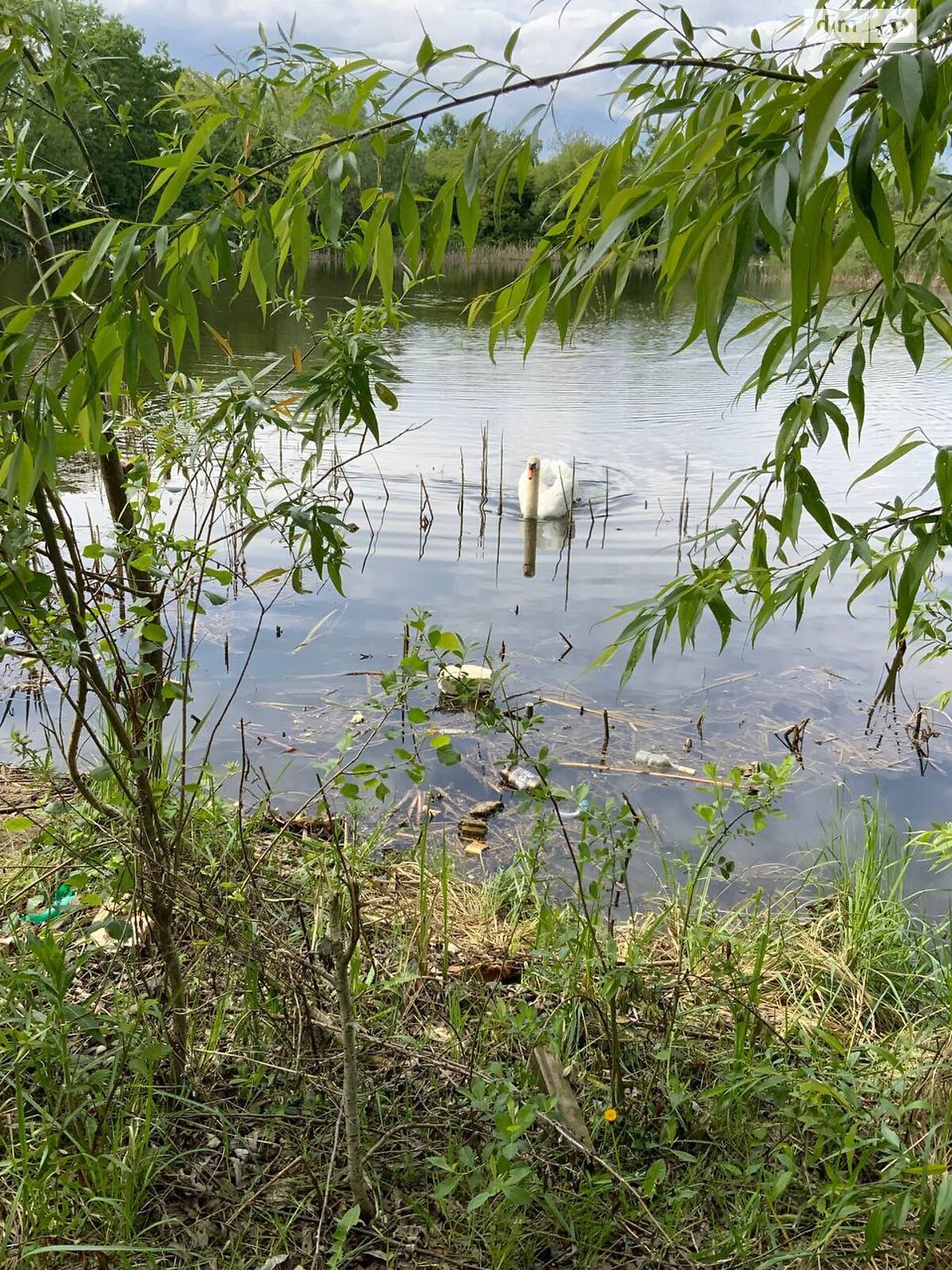 Продаж однокімнатної квартири в Ужгороді, на вул. Єнківська, фото 1