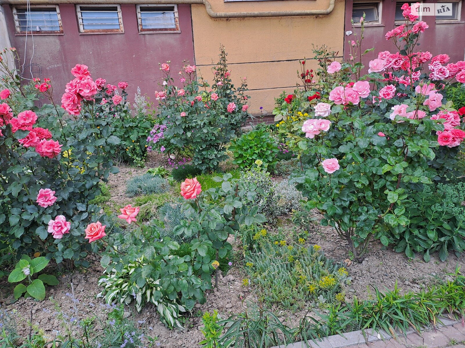 Продаж трикімнатної квартири в Ужгороді, на вул. Михайла Вербицького, район П'яний базар фото 1 Продаж трикімнатної квартири в Ужгороді, на вул. Михайла Вербицького, район П'яний базар фото 1