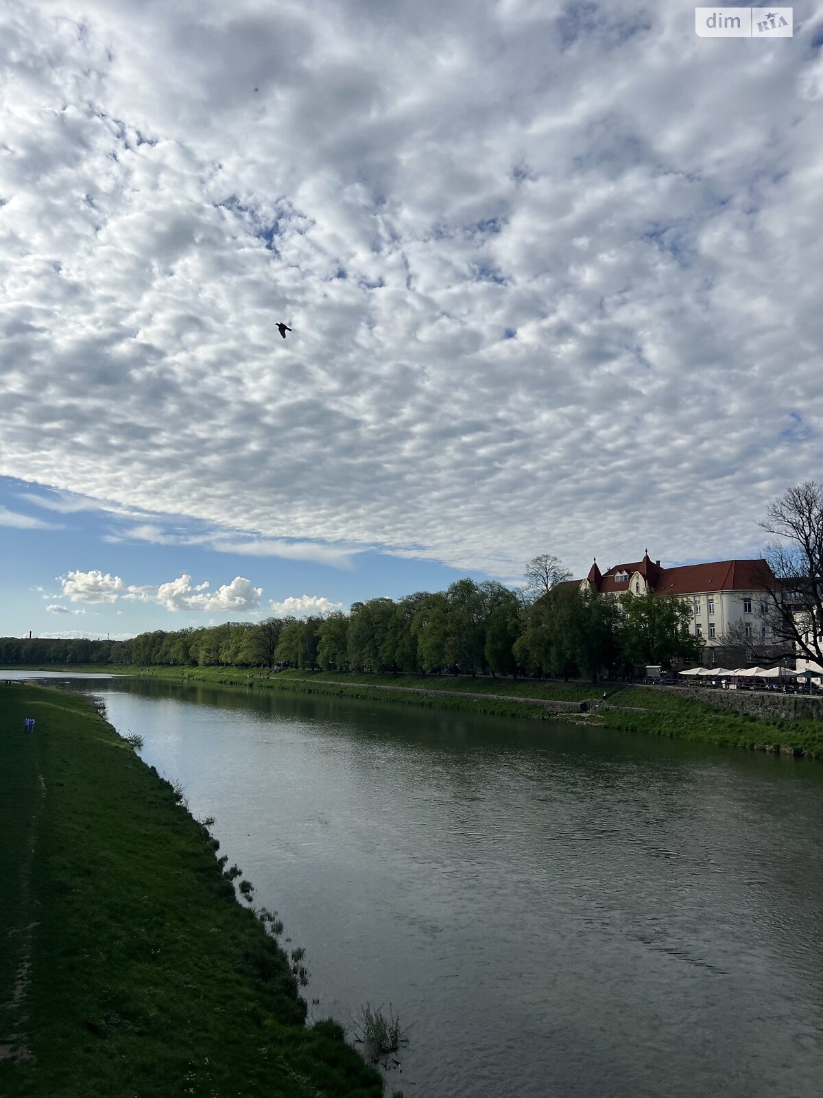 Продаж двокімнатної квартири в Ужгороді, на пл. Жупанатська 1, район Центр фото 1 Продаж двокімнатної квартири в Ужгороді, на пл. Жупанатська 1, район Центр фото 1
