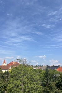 Продажа двухкомнатной квартиры в Ужгороде, на пл. Жупанатская 1А, кв. 34, район Центр фото 2