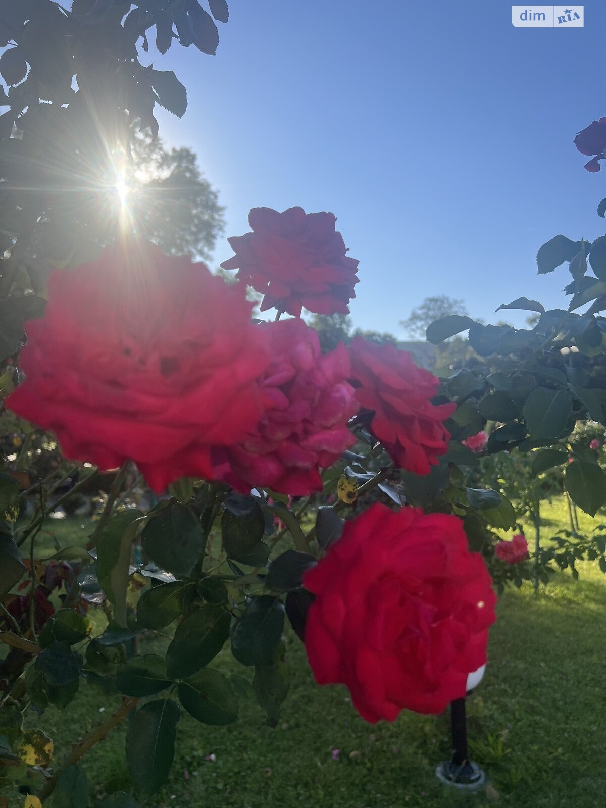 Продажа двухкомнатной квартиры в Ужгороде, на пл. Жупанатская 1А, кв. 34, район Центр фото 1