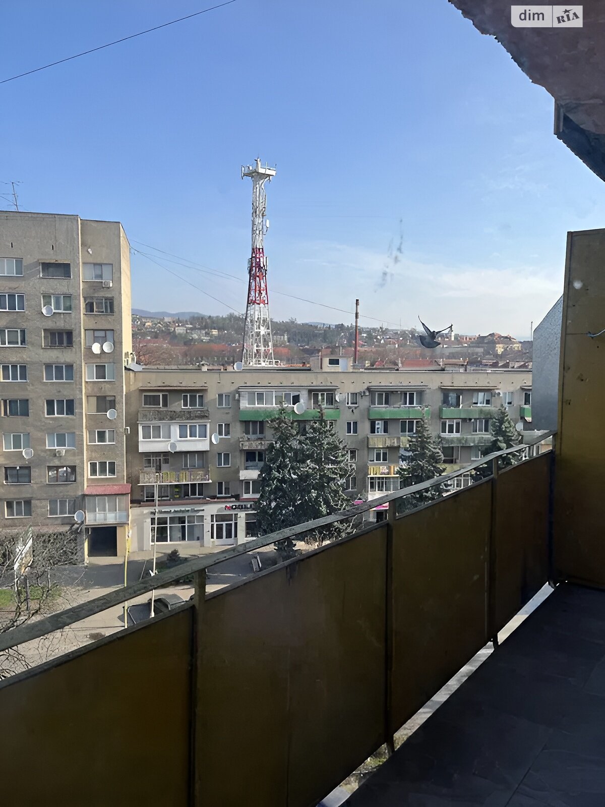 Продаж двокімнатної квартири в Ужгороді, на вул. Льва Толстого, район Центр фото 1 Продаж двокімнатної квартири в Ужгороді, на вул. Льва Толстого, район Центр фото 1