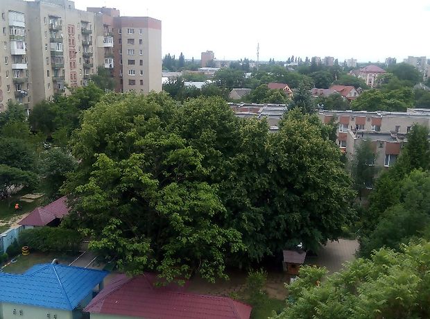 Продаж квартири, 3 кім., Ужгород, р‑н. Центр Продаж квартири, 3 кім., Ужгород, р‑н. Центр