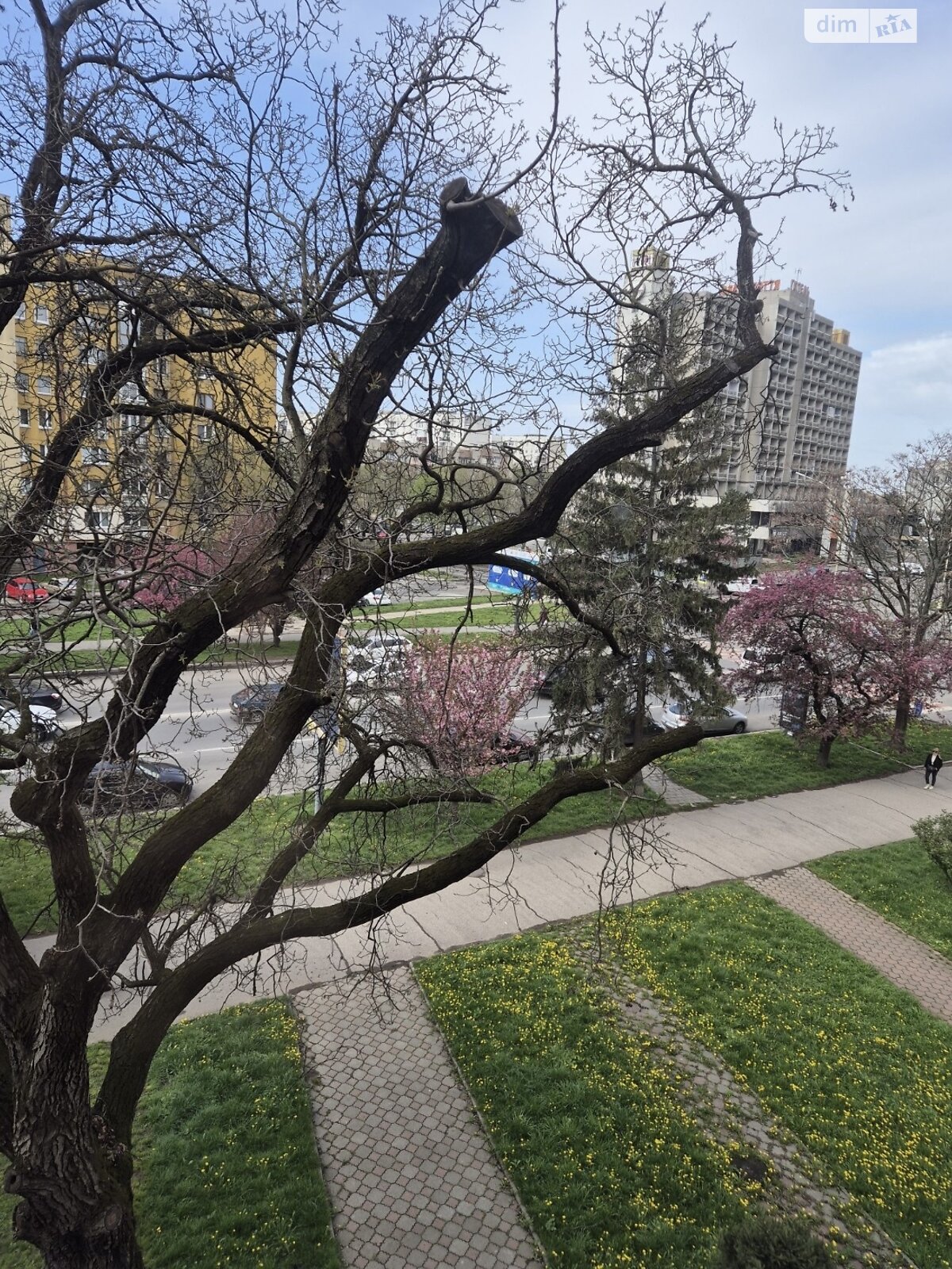 Продажа двухкомнатной квартиры в Ужгороде, на просп. Свободы, район Вербнык фото 1 Продажа двухкомнатной квартиры в Ужгороде, на просп. Свободы, район Вербнык фото 1