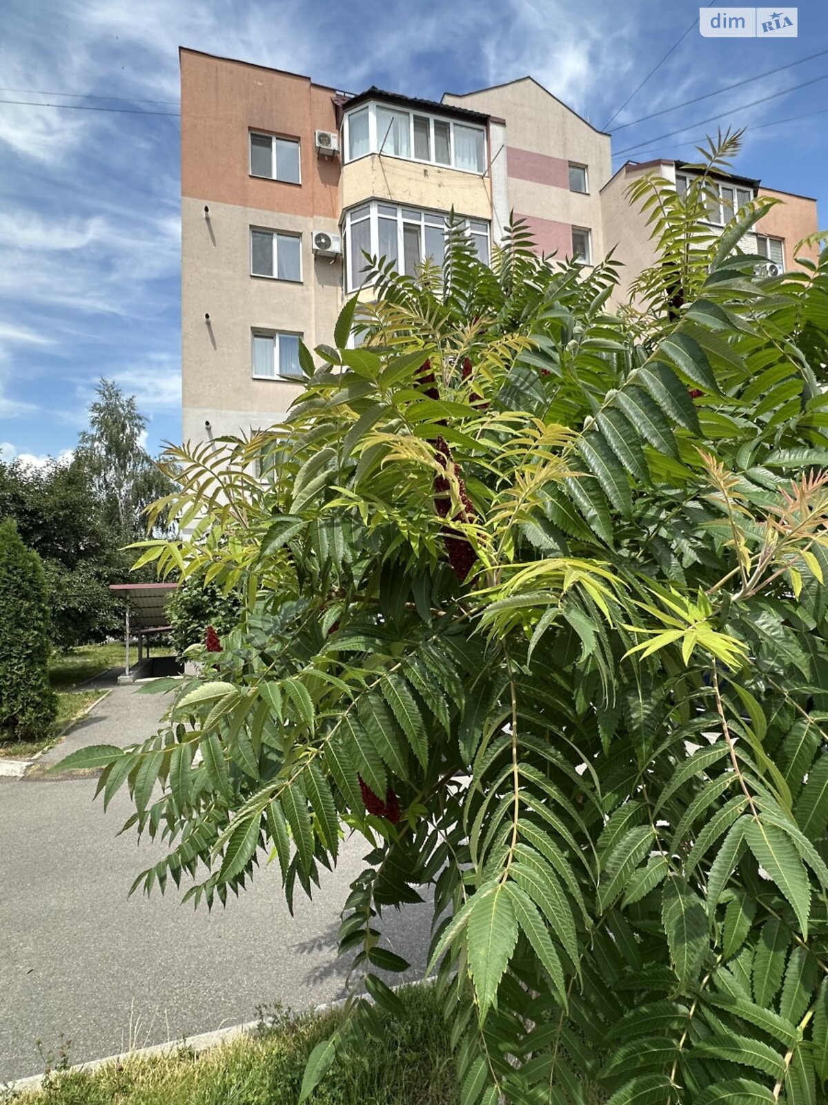 Продажа трехкомнатной квартиры в Виннице, на ул. Николаевская 16, район Академический фото 1 Продажа трехкомнатной квартиры в Виннице, на ул. Николаевская 16, район Академический фото 1