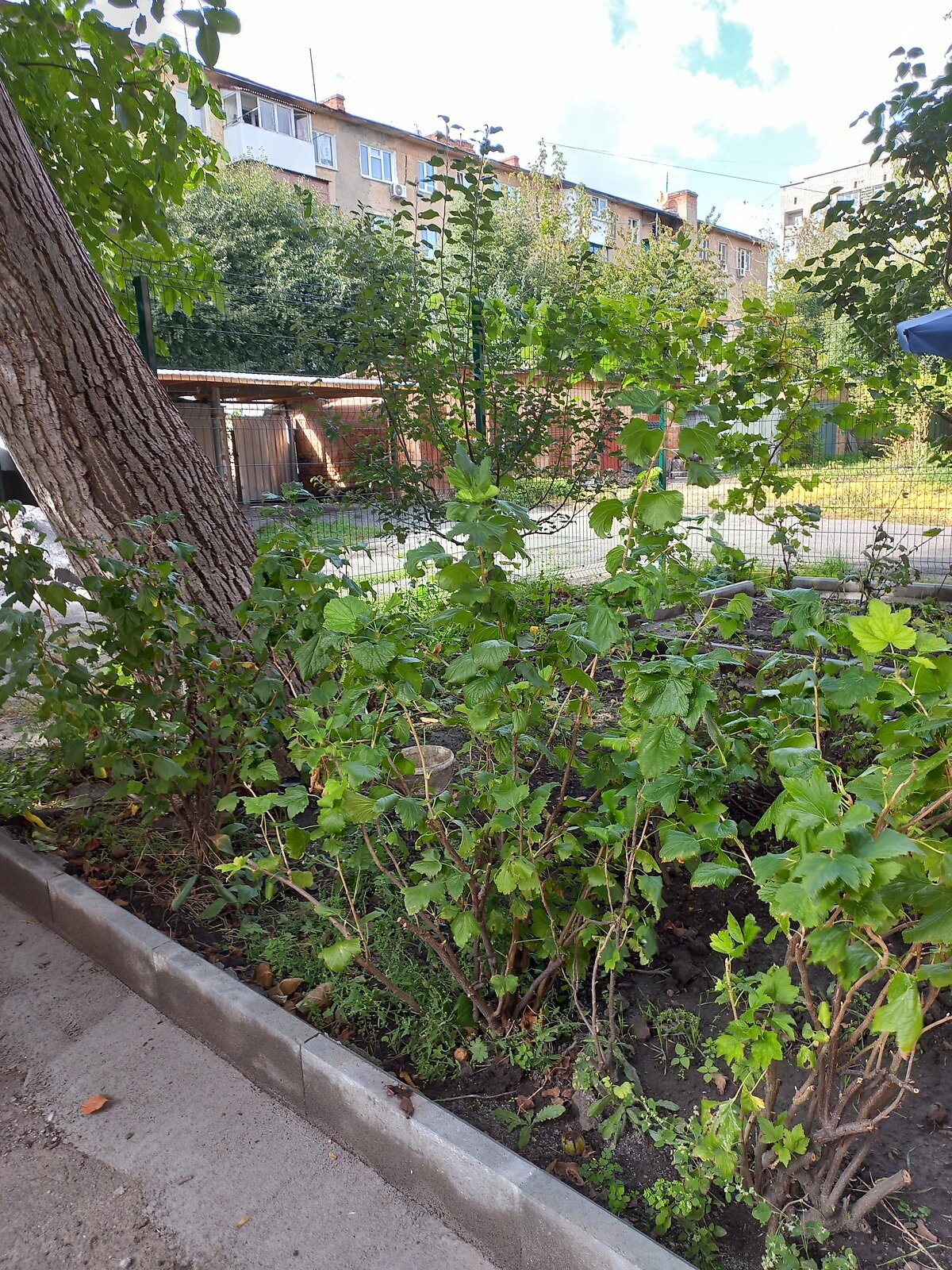 Продажа трехкомнатной квартиры в Виннице, на ул. Александра Довженка, район Ближнее замостье фото 1