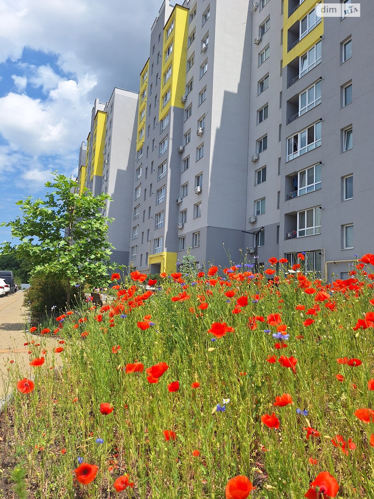 Продаж двокімнатної квартири в Вінниці, на вул. Академіка Янгеля, район Ближнє замостя фото 1 Продаж двокімнатної квартири в Вінниці, на вул. Академіка Янгеля, район Ближнє замостя фото 1