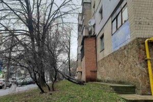 Продаж трикімнатної квартири в Вінниці, на вул. Казимира Малевича 69, район Ближнє замостя фото 2