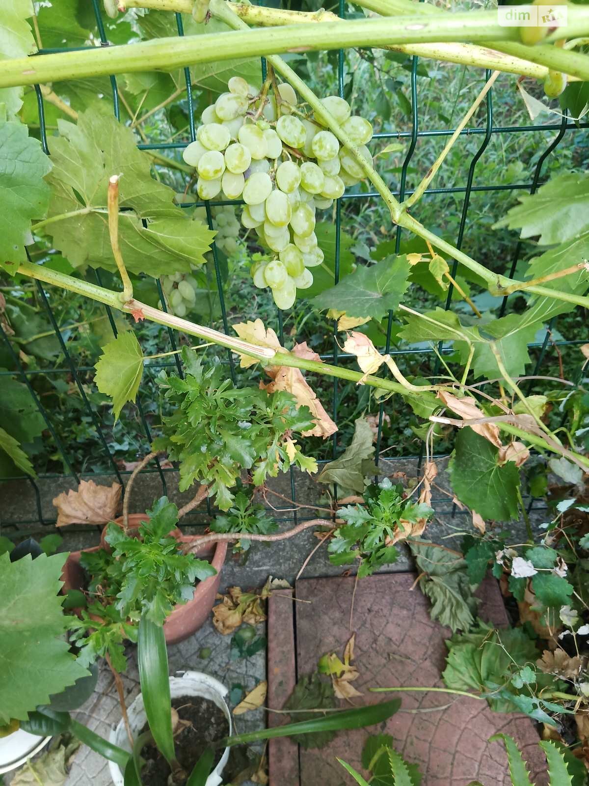 Продажа двухкомнатной квартиры в Виннице, на шоссе Немировское, район Дальнее замостье фото 1