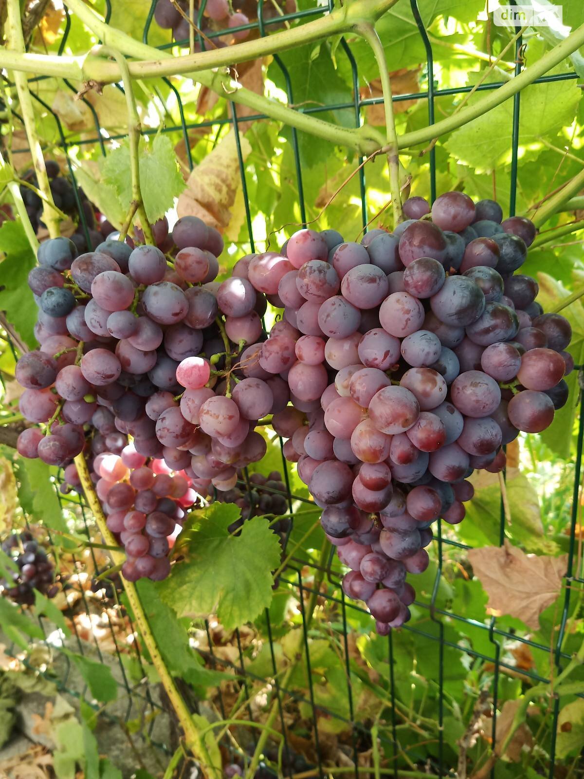 Продажа двухкомнатной квартиры в Виннице, на шоссе Немировское, район Дальнее замостье фото 1