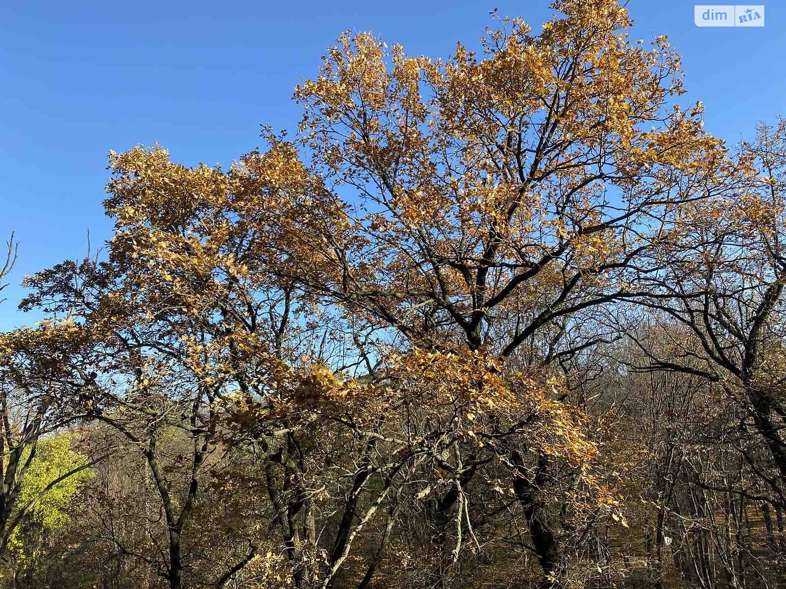 Продажа однокомнатной квартиры в Виннице, на ул. Профессора Шульги, район Подолье фото 1